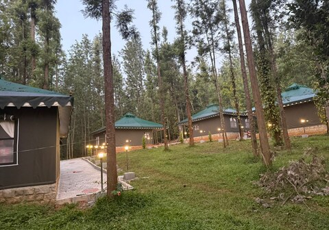 The Wild Deck - Chikmaglur