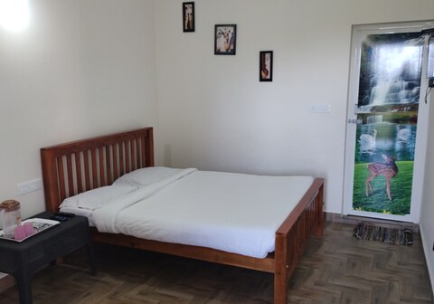 Blooming nights with Begonia