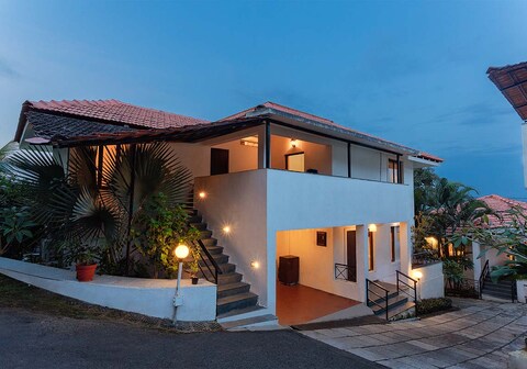 V are Family I Three Tropical Woods