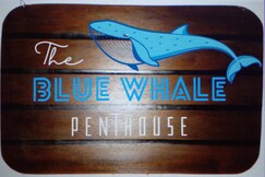 The Blue Whale - funky 3-room apartment  in Pondy, Pondicherry The Blue Whale - funky 3-room apartment  in Pondy, Pondicherry