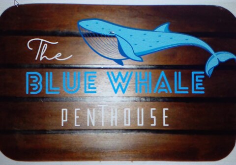The Blue Whale - funky 3-room apartment in Pondy