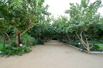 Bagh Dera Camp, Ranthambhore Bagh Dera Camp, Ranthambhore