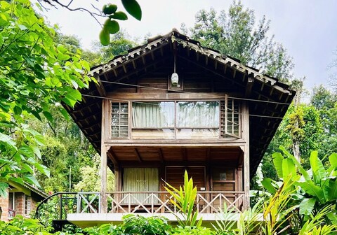 Forest Flower Homestay | Rooms & Caretaker