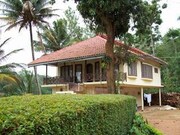 Paddy valley homestay, Coorg Paddy valley homestay, Coorg