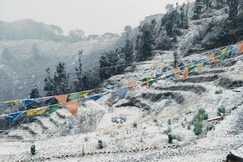 7 Heaven Cottages and Restaurant, Dhanaulti 7 Heaven Cottages and Restaurant, Dhanaulti