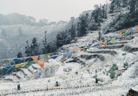 7 Heaven Cottages and Restaurant