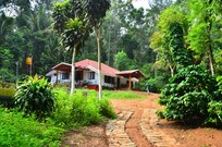 Silver Flower Homestay, Coorg Silver Flower Homestay, Coorg