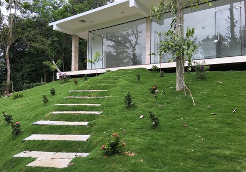 Harmony Farms | A Tea-Garden Stay