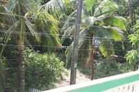 Caphina Tourist Cottages, Goa Caphina Tourist Cottages, Goa