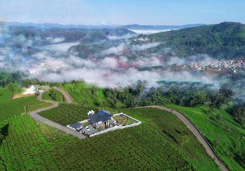 Belvedere Groups Vachi's Belvedere