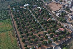 Saachi Villagio Resort, Vijapur Saachi Villagio Resort, Vijapur