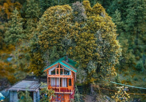 WOW Duplex Treehouse