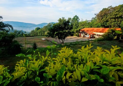 Chikmagalur Hilltop Homestay Experience