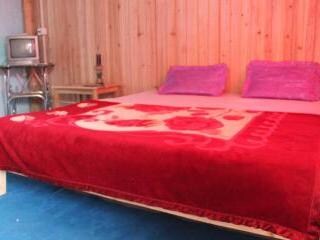 Green Peak Resort,Rishyap