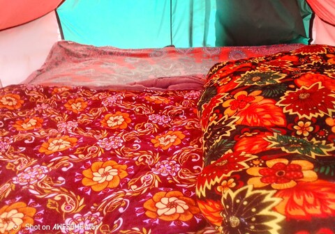 Triveni Camp Prayagraj