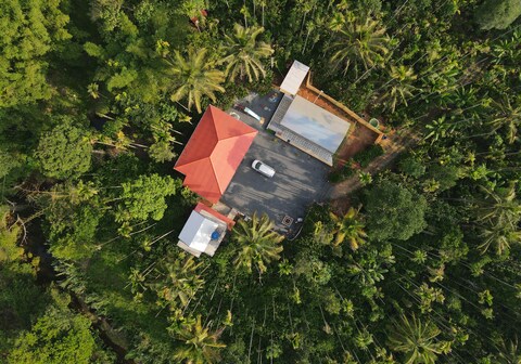 Liva wayanad
