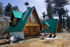 The Alpine Woods, Shimla The Alpine Woods, Shimla