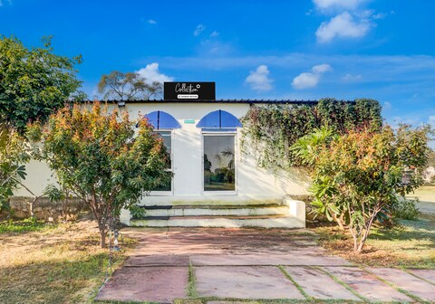 Collection O Ranthambhore National Park