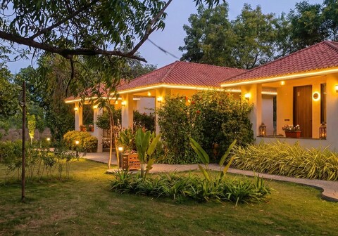 The Midas Resort