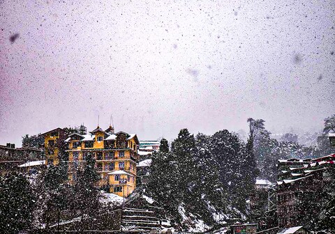 Hotel Ambika Bliss Manali