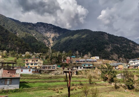 Dhauladhar view Homestay