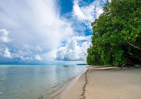 Green Wood Beach Resort