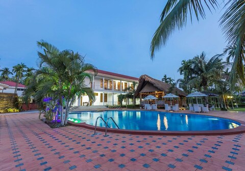 Zone Niathu Dimapur By The Park