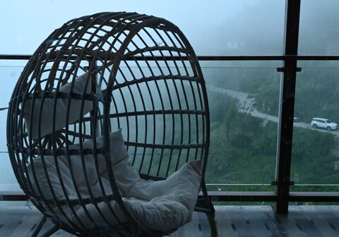 The winterline woods