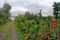 Cozy Nest backwater homestay, Coorg Cozy Nest backwater homestay, Coorg