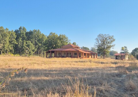 BaghinDhara: Stream of the Tigress