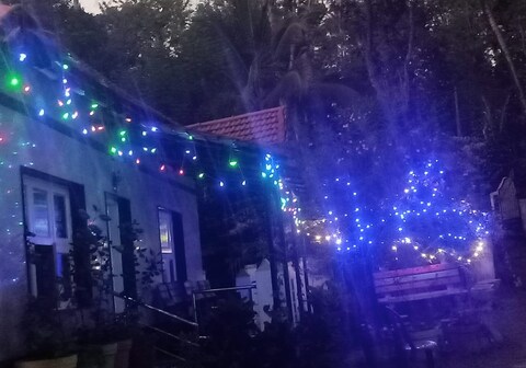 Coorg Lake View Homestay