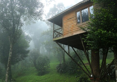 Nature Zone Munnar - A Real Jungle Resort - Authentic Tree House and Premium Tents