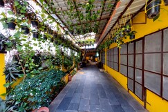 Happy Seavilla Serenity Stay Rooms, Auroville Happy Seavilla Serenity Stay Rooms, Auroville