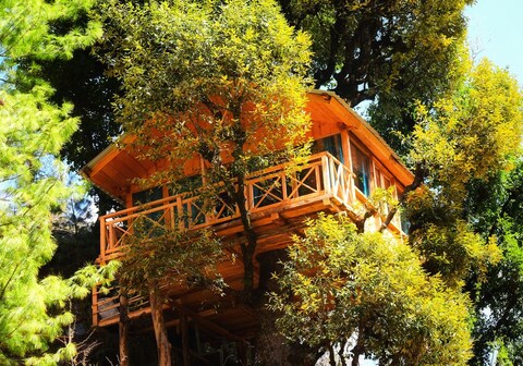 Whispering Pines Cottages| Treehut