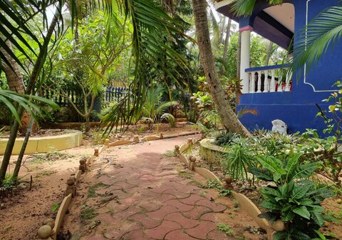 Lazy Palm Beach Apartments | Rooms & Pool