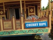 Cherry Ripe, Srinagar Cherry Ripe, Srinagar
