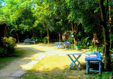Camp Hornbill