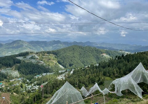 MeghSparsh Resort, Narkanda