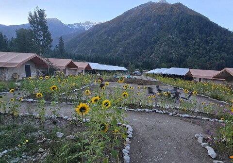Ibex Camp | Rooms & Caretaker