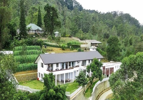 Benito Bungalow by the Serendipity Collection