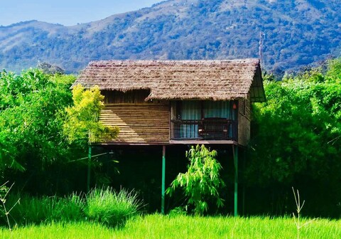 Koomankolly Heritage Retreat | A Forest Stay