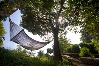 Misty Woods Resorts, Coorg Misty Woods Resorts, Coorg