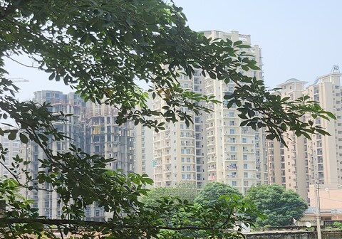 The Fifth Element Grand Stays RIVER VIEW