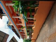 Mandrem paradise, Goa Mandrem paradise, Goa