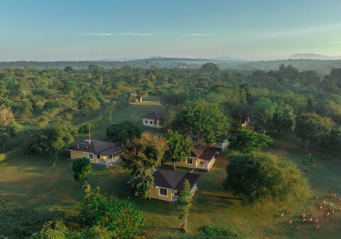 The Wild Forest Resorts