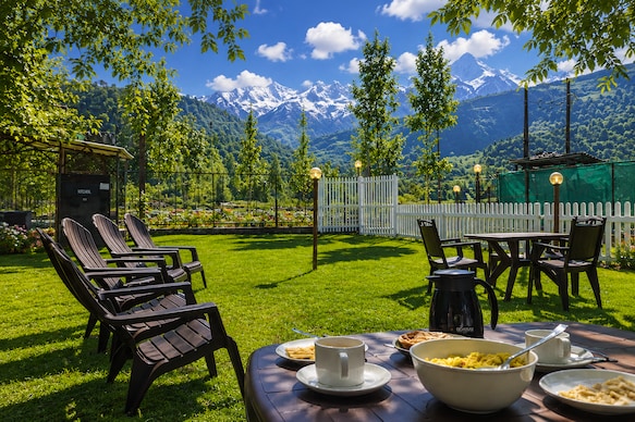 Walnut Tree (River Front) Pahalgam