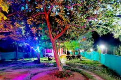 Village & Wild Cafe, Kullu Village & Wild Cafe, Kullu