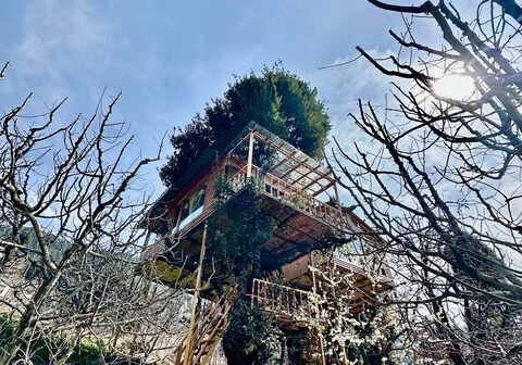 Royal Himalayan Tree House