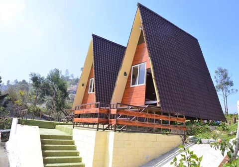 Dollies Mountain View