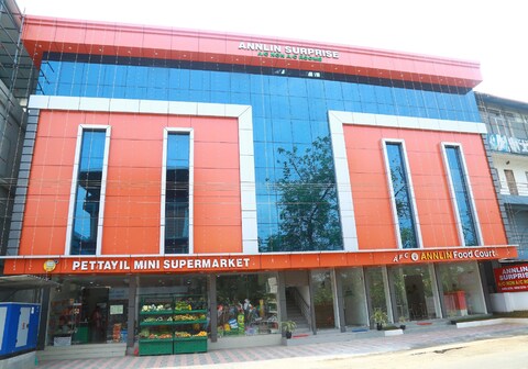 Annlin Surprise near Cochin Airport